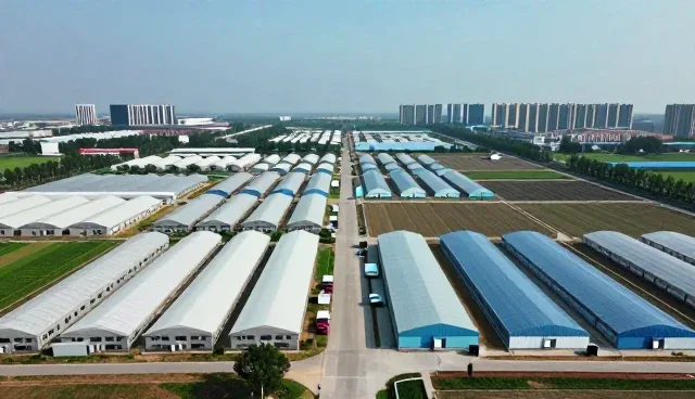 技术培训在企业合作中的实际应用与选型考量
